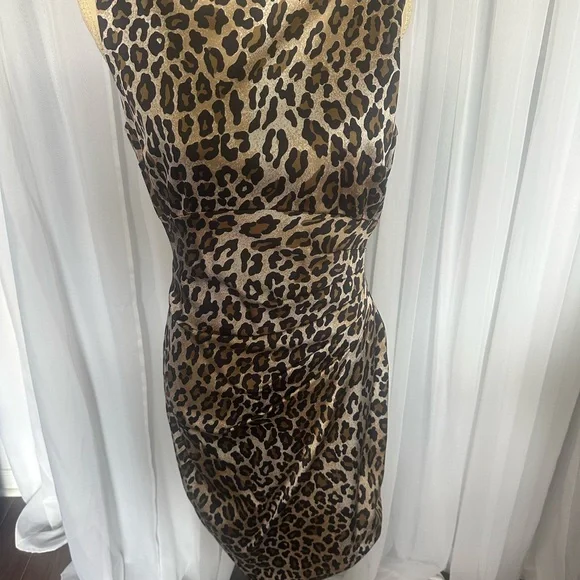 Leopard Print Dress - Picture 2 of 5